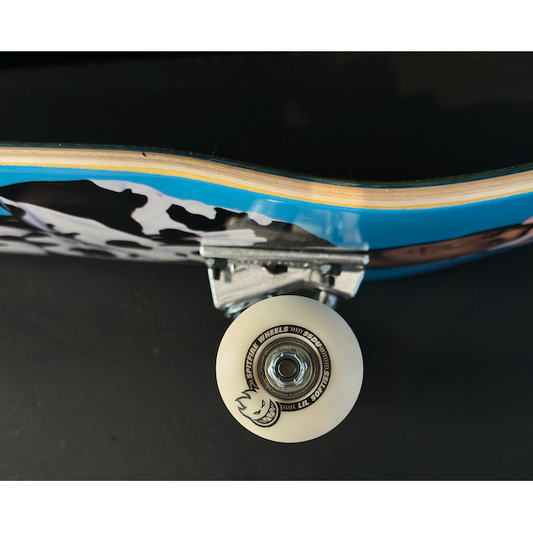 Real Mason Silva Complete